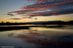 Hochwasser - Zum Vergroessern klicken!